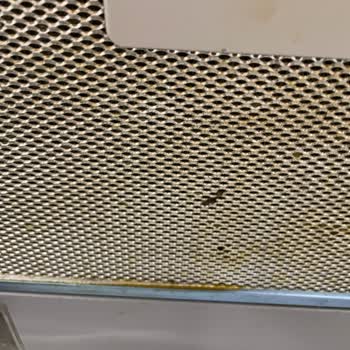 Apartamento Estudio de Booking.com Sucio, Provocó Alergias