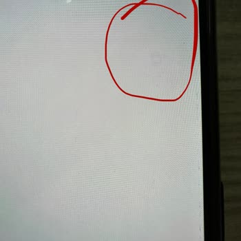 Oppo Reno4 Lite Problema de Pantalla: Fondo Visual Atascado Tras Fin de Garantía