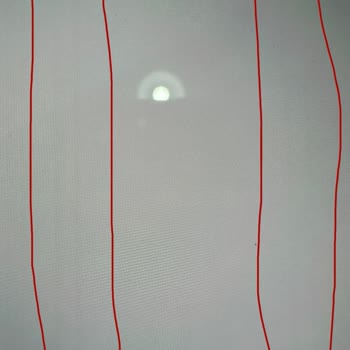 Oppo Reno4 Lite Problema de Pantalla: Fondo Visual Atascado Tras Fin de Garantía