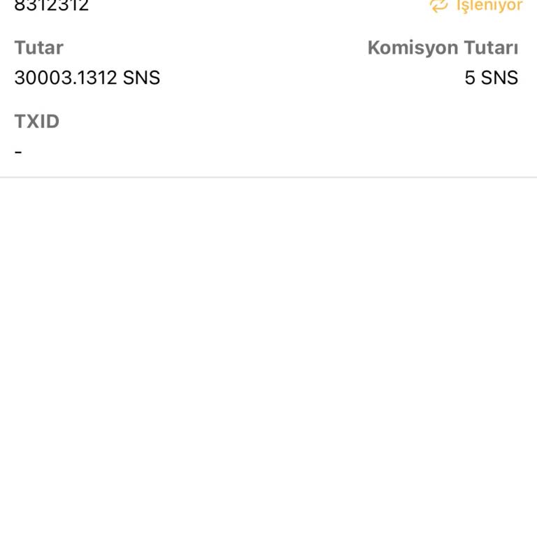 Bitci Borsasında Uzun Süren İşlem Sorunu