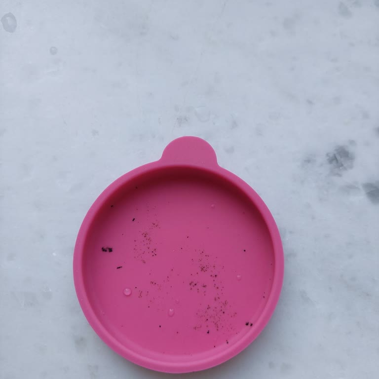 Lav Sürahinin Silikon Kapağı Küfleniyor