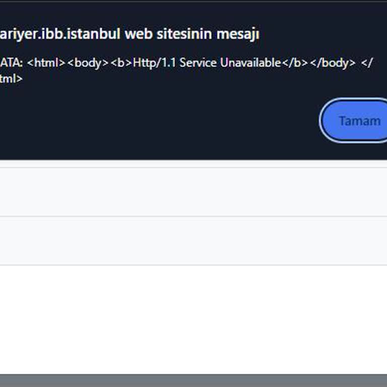 Kariyer İBB Özgeçmiş Hatası