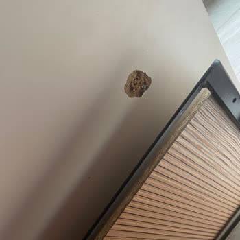 Ergül Mobilya'da Yaşadığımız Montaj Ve Müşteri Hizmeti Sorunları