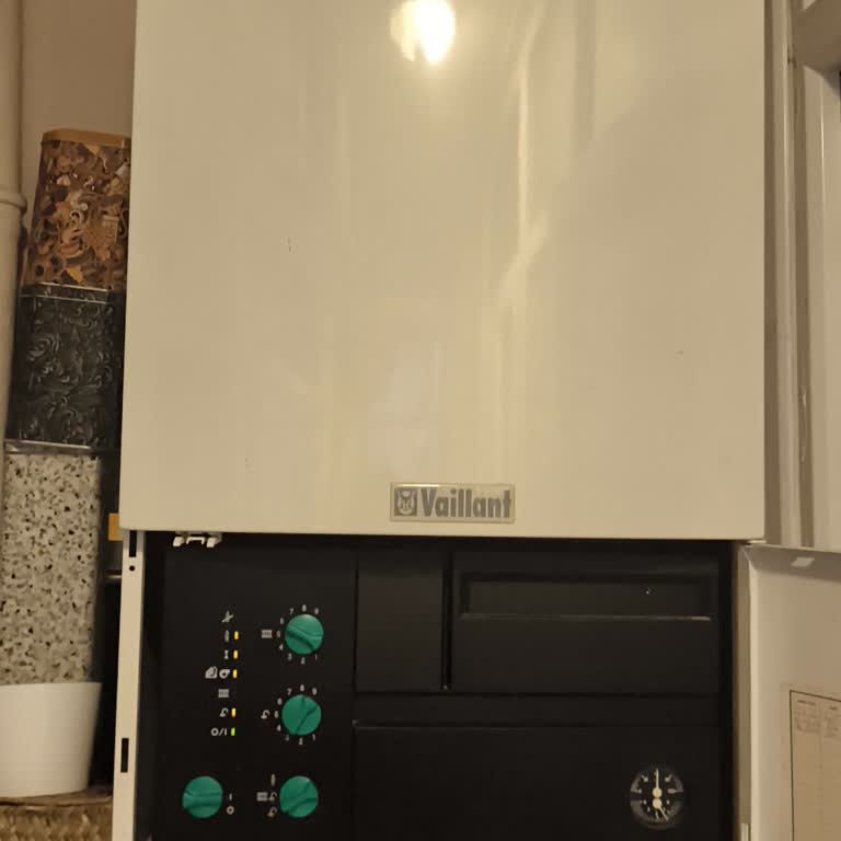 Vaillant Güven Her Şey