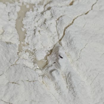 Baylan Toptan Market Ürünlerin İçinden Yabancı Cisimler Çıkıyor!