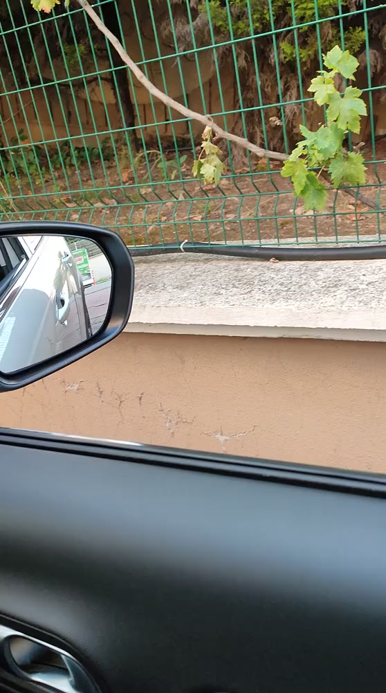 Problema de ruido en el disco de freno del Citroen C5 Aircross Portada de vídeo