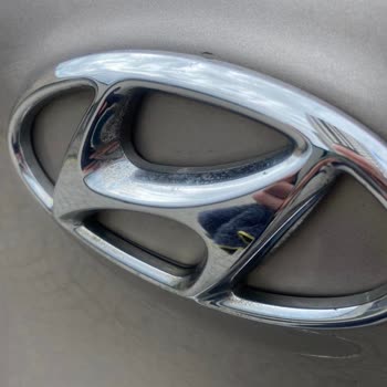Hyundai Tucson 2019 Vibración y Corrosión del Logo