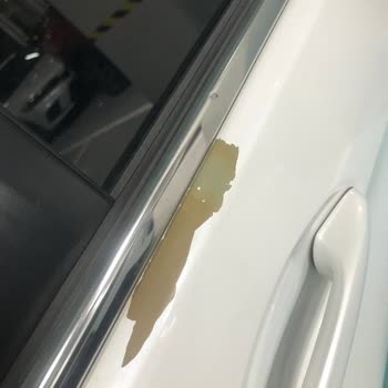 Pintura Descascarada en Honda CR-V, Servicio Rechaza Arreglo en Garantía