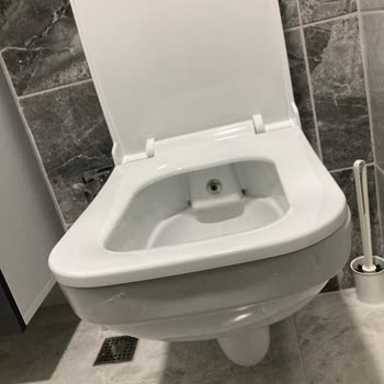 Serel Asma Klozet Hijyen Sorunu