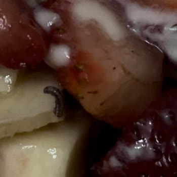 Çıtır Waffle Migros Yemek Sitesinde Hijyen Sorunu: Canlı Kurtlu Waffle