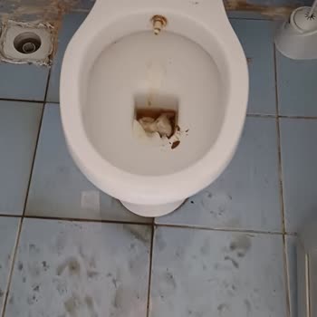Milli Eğitim Bakanlığı WC Bakımsızlığı Ve Pisliğinin Giderilmesi