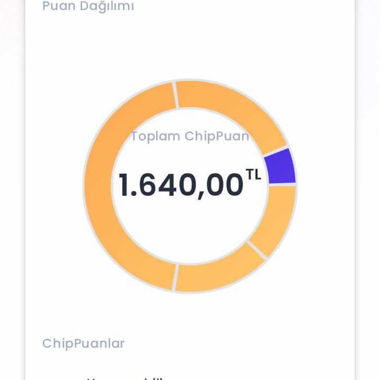 Chippin Uygulamasında Yaşanan Sorunlar Ve Kullanım Zorlukları