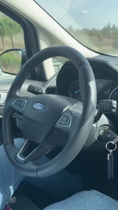 Ford Eco Sport 2021 Problemas con el Sistema de Frenado Portada de vídeo