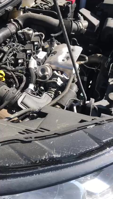 Ford EcoSport - Fallo Crónico del Motor a los 18,000 Km Portada de vídeo