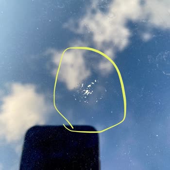 La pintura de mi Ford se arruinó por excremento de pájaro