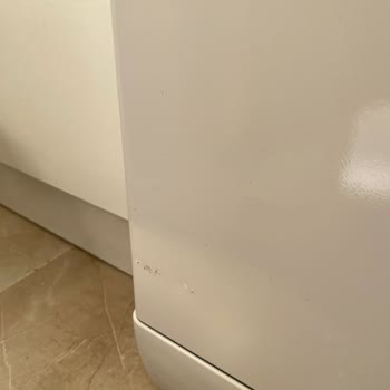 Servis Merkezinin Bulaşık Makinesini 6000 TL Alarak Pert Etmesi!
