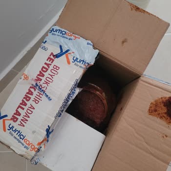 Yurtiçi Kargo Böyle Taşınır Mı