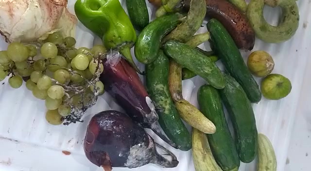 Refrigerador Profilo Descompone Frutas y Verduras Portada de vídeo