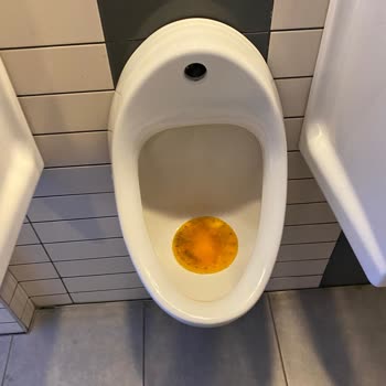 Shell Taşpınar Şubesi Tuvaletleri Çok Kötü Kokuyor Eski Bakımsız Kirli