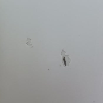 Varnish Desprendiéndose en mi Skoda Superb Prestige 2016 Blanco