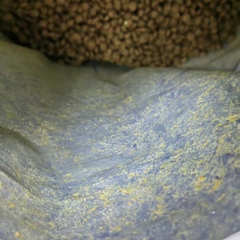 Farmina N&D Comida para Gatos Pegajosa y Servicio al Cliente Inactivo