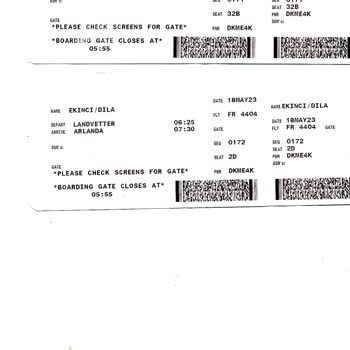 Ryanair: Problemas con cargos y check-in en vuelo