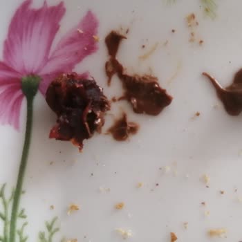 Problemas de Control de Calidad en Producto Ferrero, Sabor y Contaminantes Externos