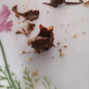 Problemas de Control de Calidad en Producto Ferrero, Sabor y Contaminantes Externos