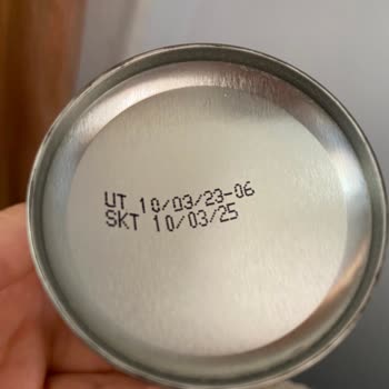 Raid Mata Moscas y Mosquitos Ineficaz - Producto Nuevo No Funciona