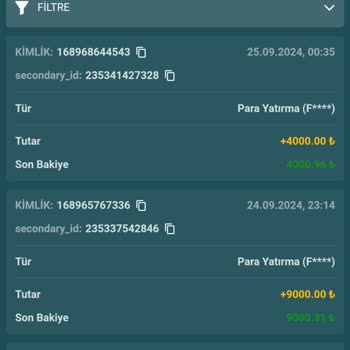 Nesinecasino 8 Bin Çekimden Sonra 30 Bin Yatırım Var Dalga Geçip Kârda Siniz Dendi