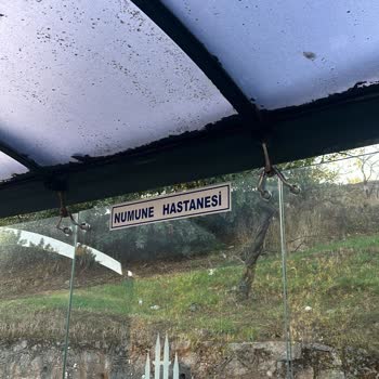 İstanbul Büyükşehir Belediyesi 320A Numune Hastanesi