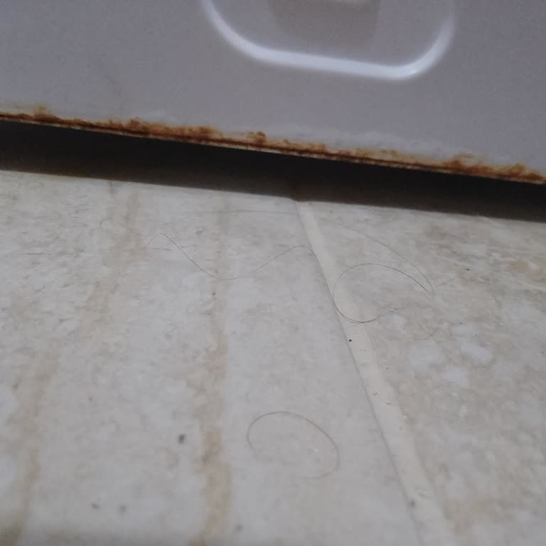 LG Çamaşır Makinesi 5 Ayda Çürümeye Başladı Firma Arkasında Durmadı