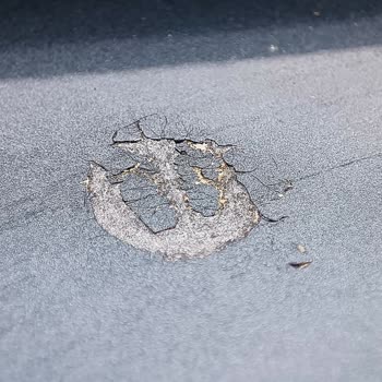 Fiat Sıfır 2023 Egea Cross Tavan Boyası Kusuru: Mağduriyetimin Giderilmesi