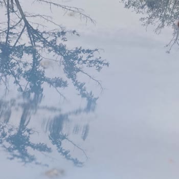 Fiat Sıfır 2023 Egea Cross Tavan Boyası Kusuru: Mağduriyetimin Giderilmesi