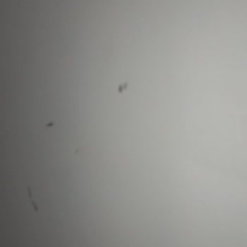 Vestel Damaged My Freezer During Repair and Refuses to Replace Faulty Product