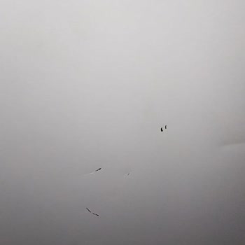 Vestel Damaged My Freezer During Repair and Refuses to Replace Faulty Product