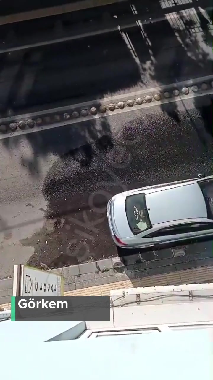 İstanbul Büyükşehir Belediyesi Kalıcı Olarak Çözüm İstiyorum! videonun kapak resmi