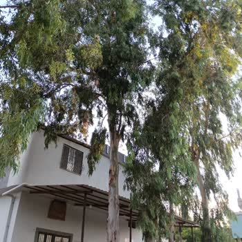 Adana Büyükşehir Belediyesi Tarafından Yaşadığımız Mağduriyet