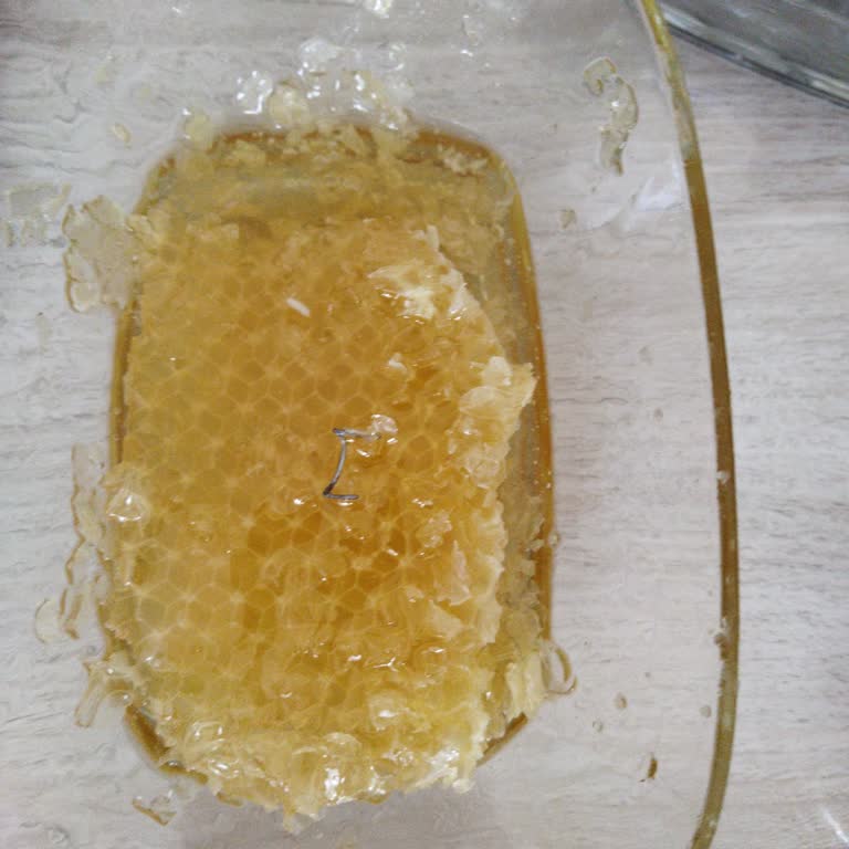 Elbistan Çiçek Bal Pişmanlıktır