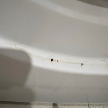 Vestel Çamaşır Makinesi 9 Ayda Pas Tuttu