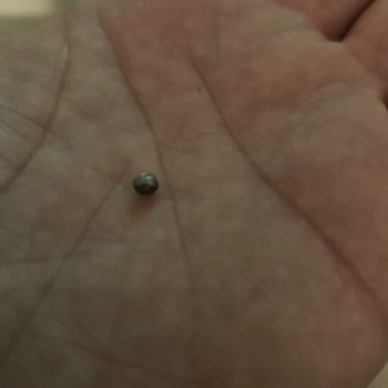 Rolling Pops - Ürün İçerisindeki Yabancı Madde