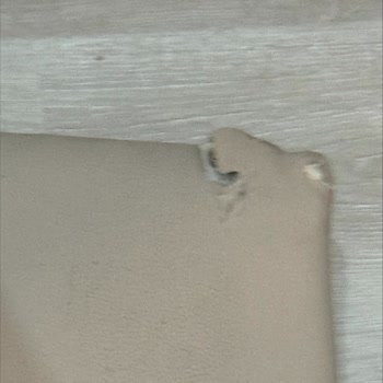 Enza Home Uzun Bekleyişin Ardından Hasarlı Ürün Teslimatı