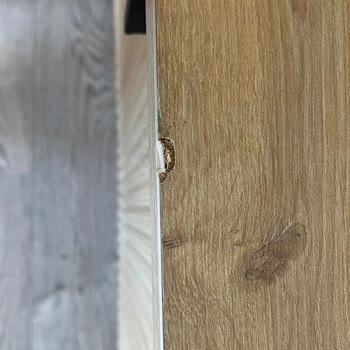 Kelebek Mobilya İle Yaşanan Sürekli Kusurlu Teslimat Ve Gecikme Sorunu