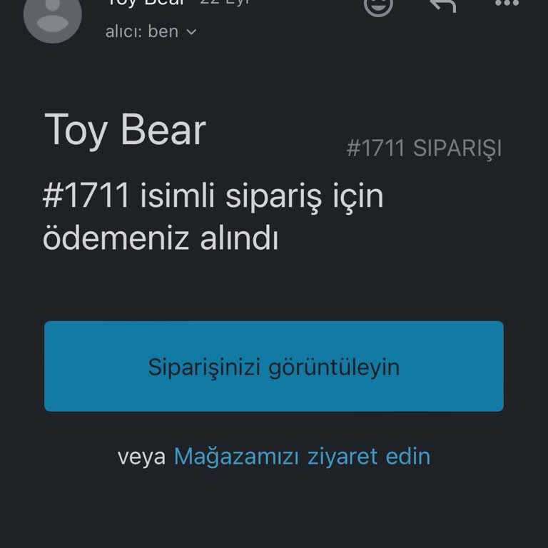 Toy Bear Oyalıyor! Kargo Sorunu