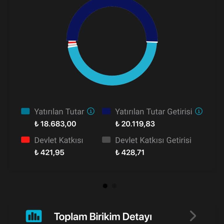 Türkiye Sigorta BES Devlet Katkısı Vermiyor