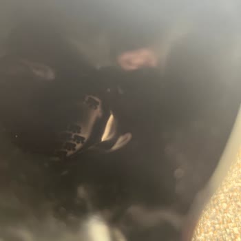 Pi Pet Shop Kusurlu Ürün Gönderimi