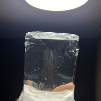 Gecek Su İçinde Yabancı Cisim