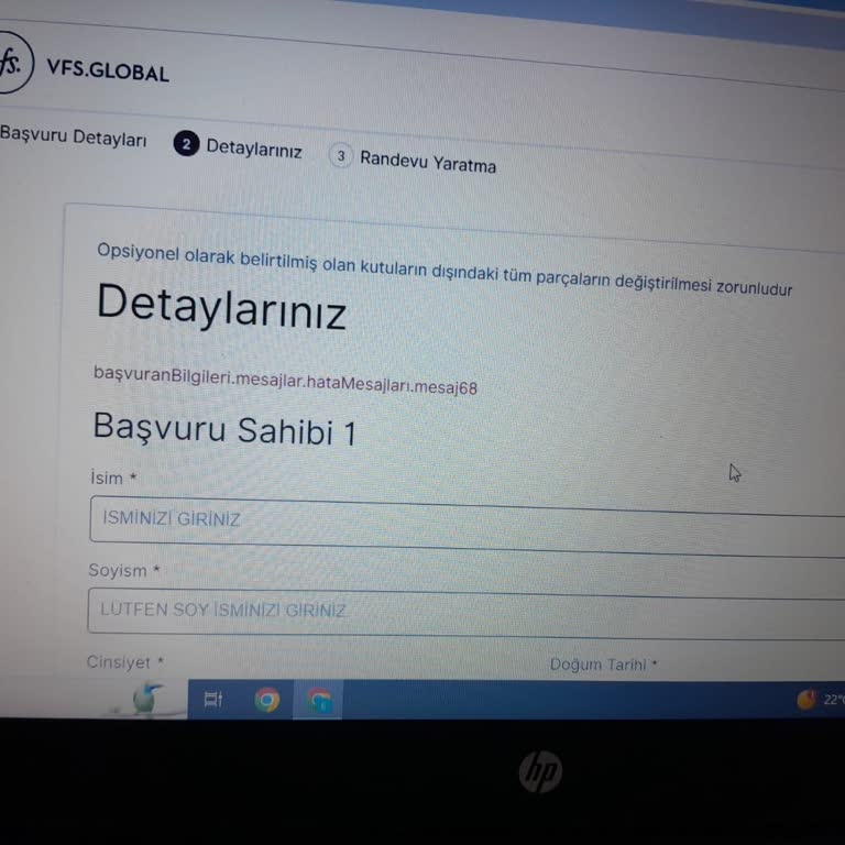 VFS Global VFS Hollanda Randevu Alamama