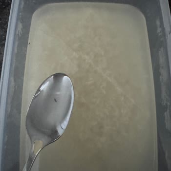 Tat Bakliyat Tat Glutensiz Pirinç Böcekli Olanından
