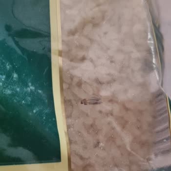 Duru Bulgur Açılmamış Pirinç Paketinde Güve Problemi